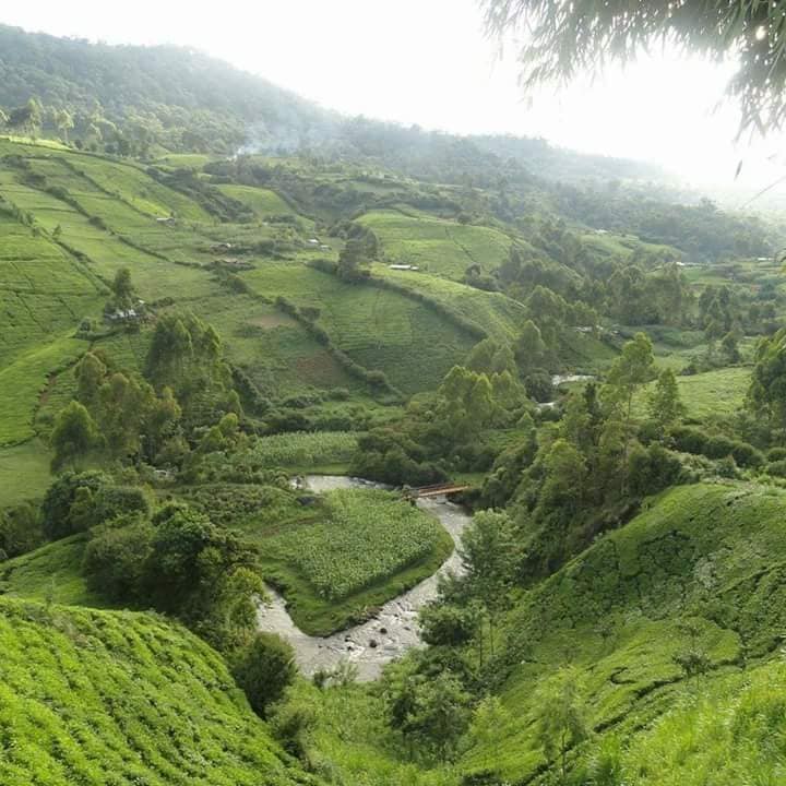 A panoramic photograph of river Mathioya in Murang'a County,Kenya.